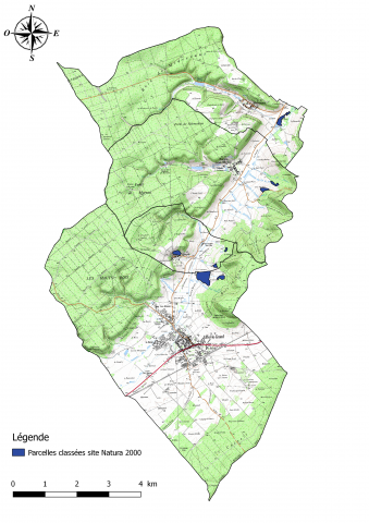Cartographie du site "Vallée de la Saônelle"